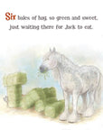 A Horse Named Jack - toddler's board book