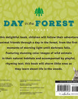Animal Adventures: Day in the Forest