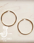 Small Stainless Steel Hoop Earrings 18K Gold Plating 219a