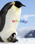 Hello Baby Penguin! Board Book
