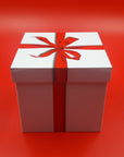 Decorative Tins / Canisters (Gift Box Design)