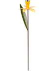Daffodil Garden Pick