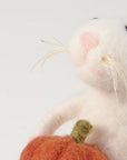 Mouse With Pumpkin Critter