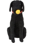 Fetch Dog Critter