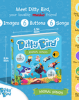 Ditty Bird Animal Songs