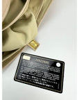 Chanel Grained leather Medium Natural Beauty Beige Flap Bag