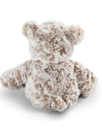 Dream Big Mini Giving Bear