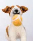 Playful Dog With Tennis Ball Critter