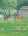 Little Foal's Busy Day