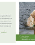 Sorry I Pooped in Your Shoe (and Other Heartwarming Letters from Doggie) by Jeremy Greenberg