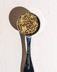 ECHINACEA PURPUREA