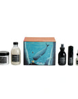 Davines OI Luxe Holiday Set: Shampoo, Conditioner, All in One Milk, Souffle, Oil