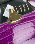 Exclusive Stalvey Top Handle 2.0 Alligator Bag Crossbody Luxury Bag
