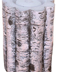 Birch Trees Water Candle