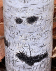 Birchwood Water Candle