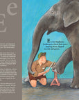 Z is for Zookeeper: A Zoo picture book Paperback
