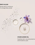 Laura Mercier Ambre Vanille Serum Body Cream 200 mL