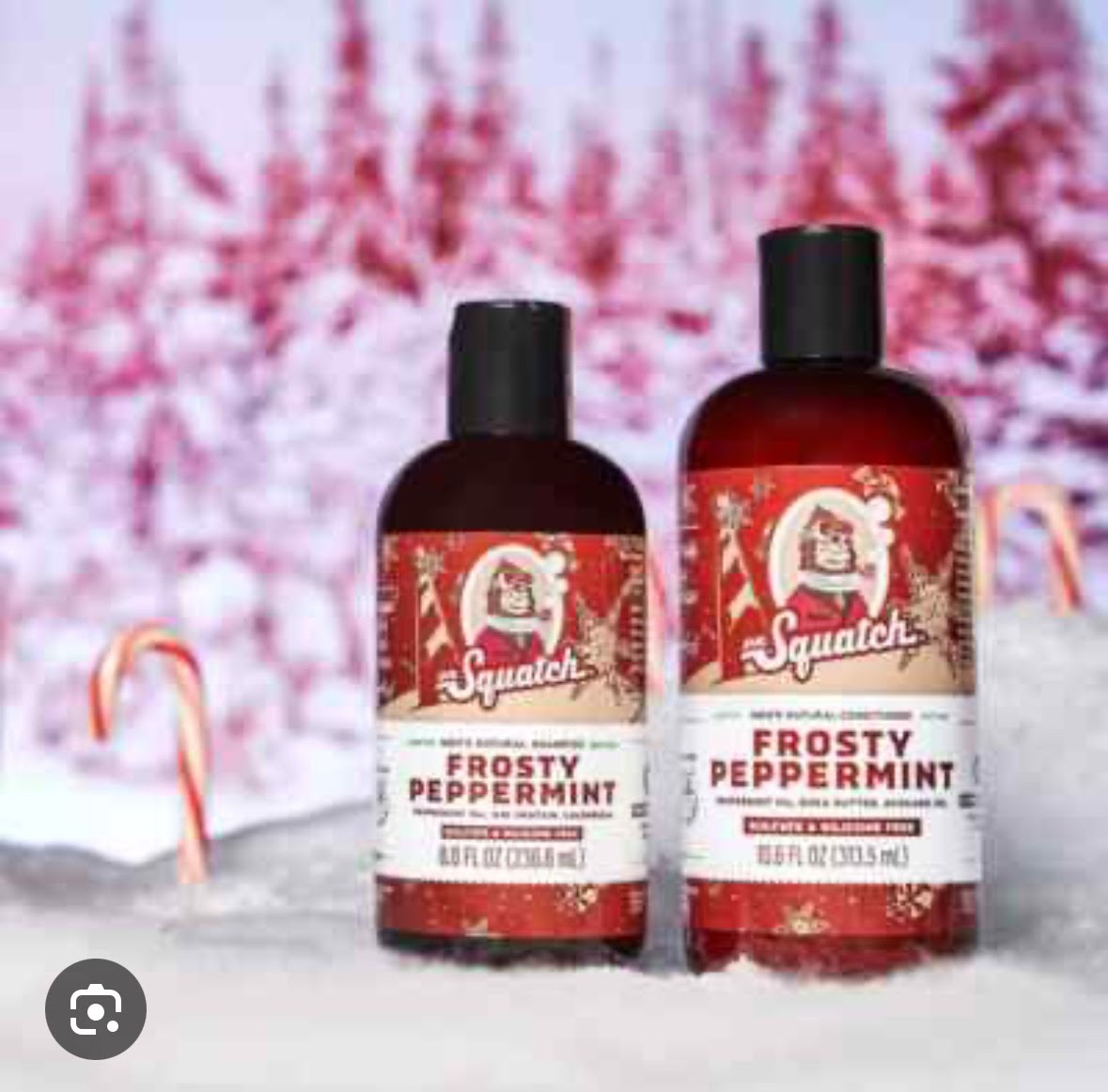 Dr. Squatch Frosty Peppermint Shampoo