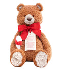 Theodore the Christmas Bear