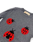 Doe a Dear Ladybug Tunic Sweater