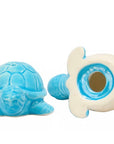 Turtle Hatchlings Salt And Pepper Shakers