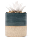 Succulent Aromatherapy Diffuser