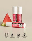 Dionis Watermelon Burst Goat Milk Lip Balm