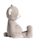 Jumbo Teddy Bear