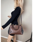 Louis Vuitton Damier Ebene Cuir Taurillon Brittany Shoulder Bag