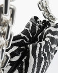 Bottega Veneta Zebra Chain Pouch