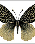 AO591 - Butterfly