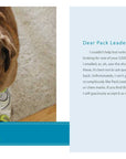 Sorry I Pooped in Your Shoe (and Other Heartwarming Letters from Doggie) by Jeremy Greenberg