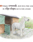 A Horse Named Jack