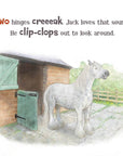 A Horse Named Jack - toddler's board book