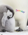 Hello Baby Penguin! Board Book