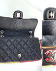 Chanel Lambskin Plexiglass Quilted Medium Cuba Color Flap Bag