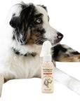 Mixologie Sweet Almond Waterless Dog Wash