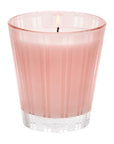 Nest New York Himalayan Salt & Rosewater Candle
