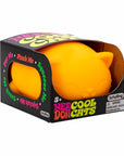 Cool Cats NeeDoh -