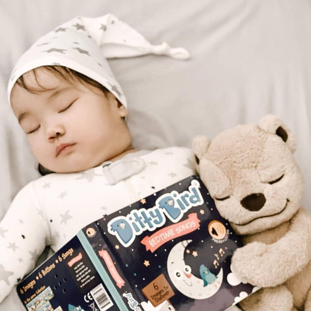 Ditty Bird | Bedtime Songs - Storytime - Baby Sound Book