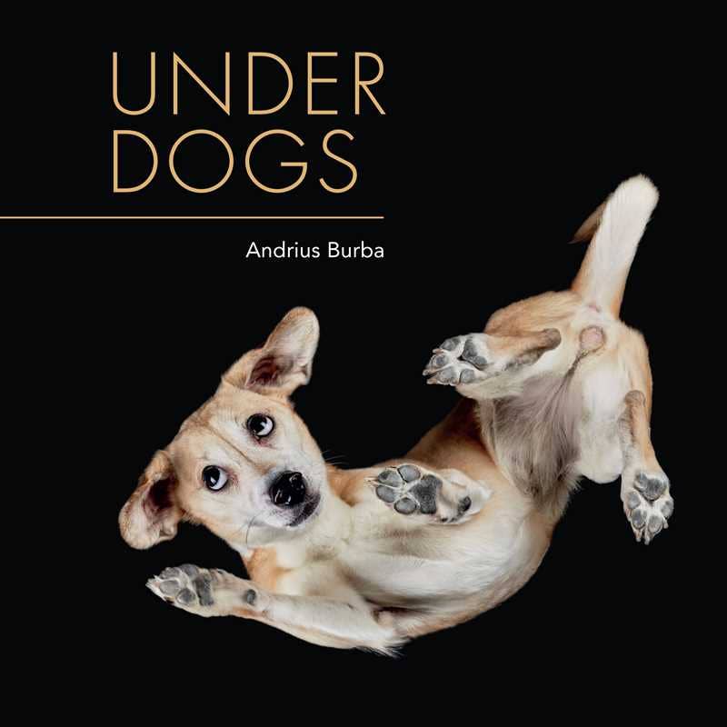 Under Dogs by Andrius  Burba