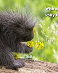 Animal Adventures: Day in the Forest