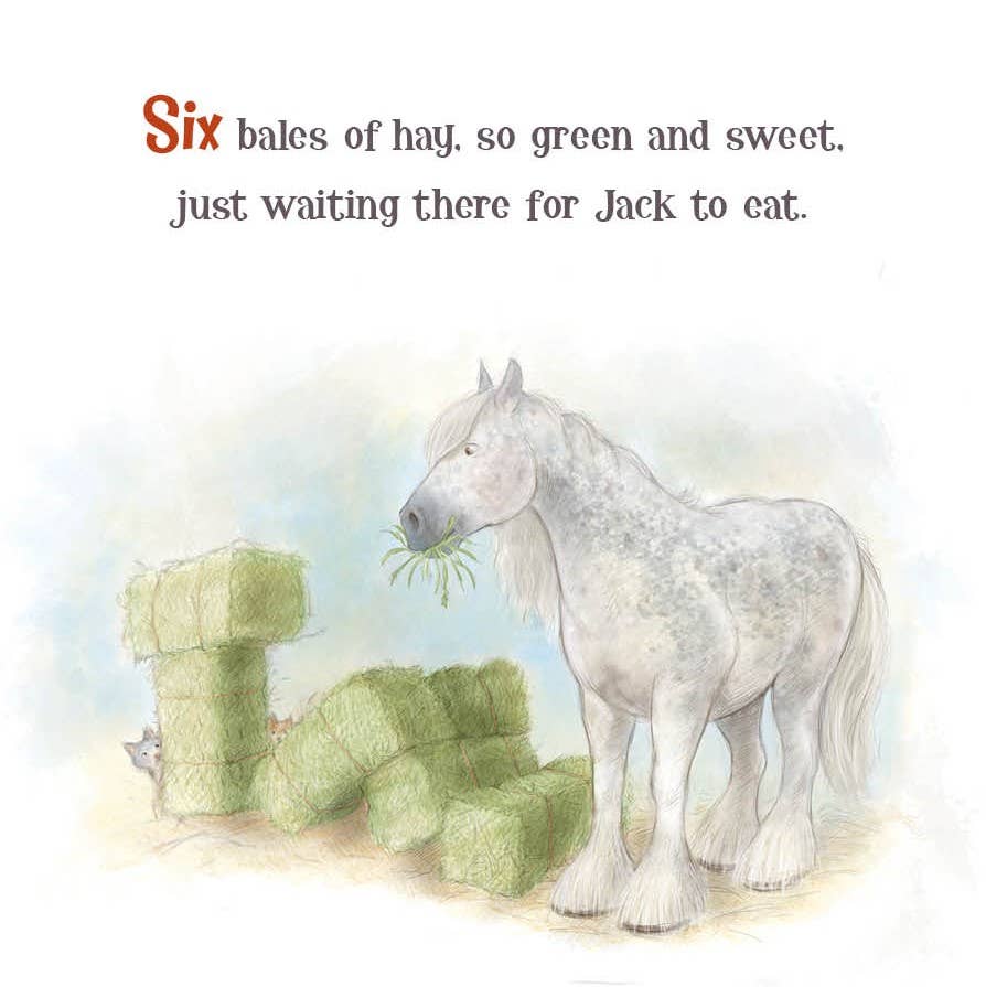 A Horse Named Jack - toddler&#39;s board book