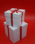Decorative Tins / Canisters (Gift Box Design)