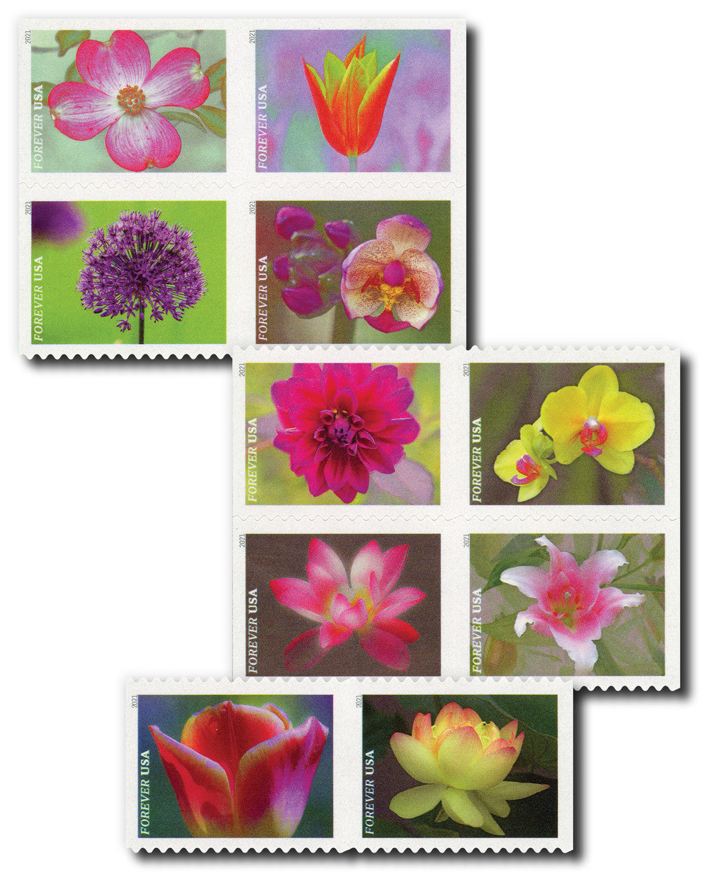 2021 Garden Beauty Forever Postage Stamps - Booklet of 20
