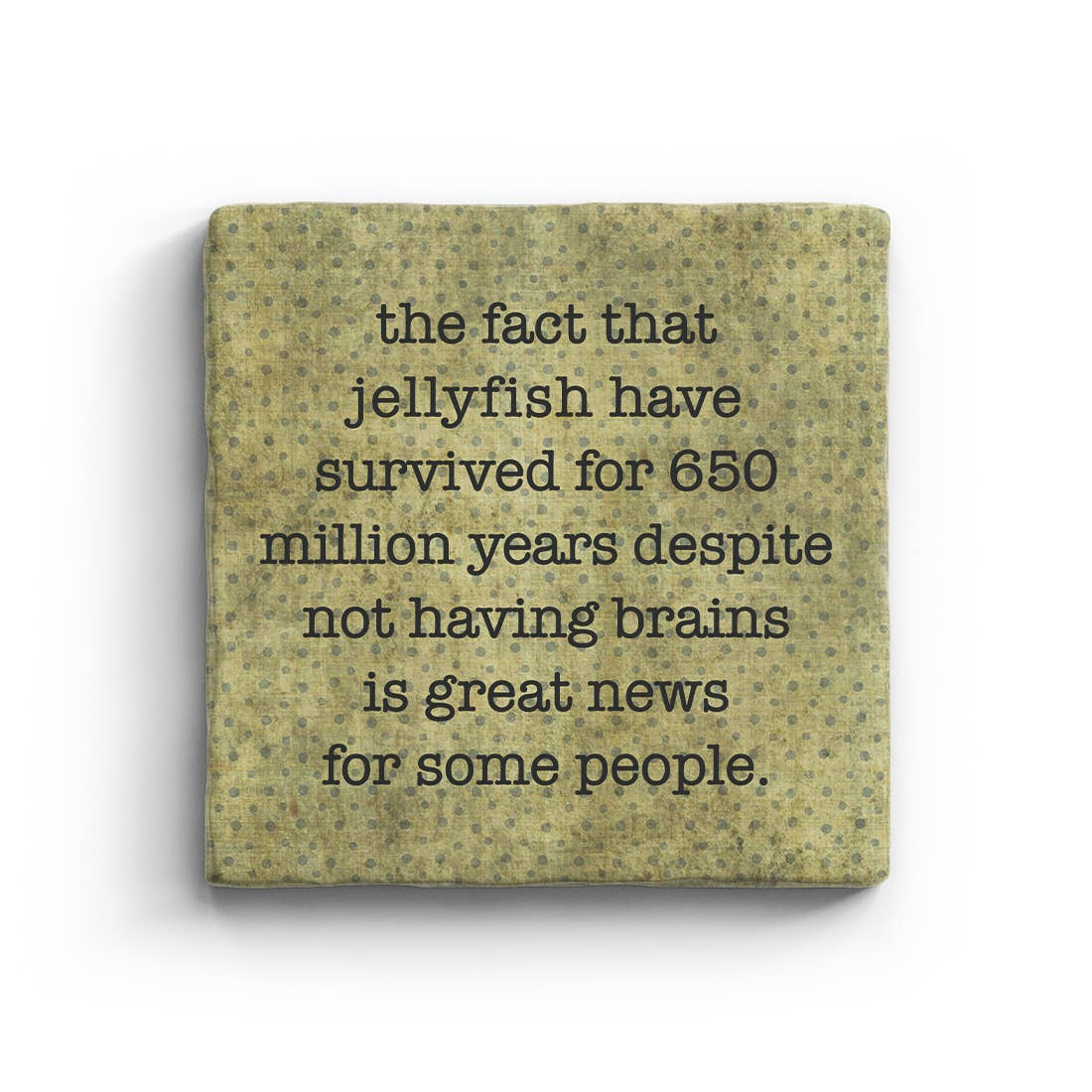 Jellyfish Have Survived Marble Coaster