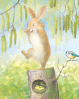 Mommy Loves You Picture Book