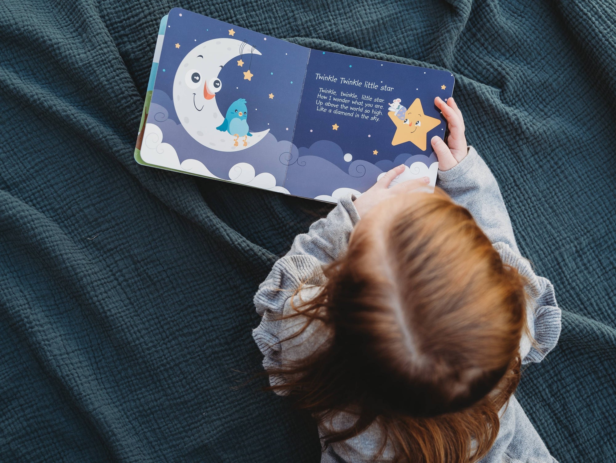 Ditty Bird | Bedtime Songs - Storytime - Baby Sound Book