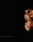 Under Dogs by Andrius  Burba
