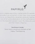 Papyrus Thanksgiving Card